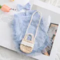 Sommer süße Haustier Hund Katze Kleid Mesh atmungsaktiv Schleife kleine Welpen Kleidung Outfit - L / Bondi Blau Set / Inklusive Strohtasche Und Haarnadel