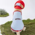 Conjunto de chaleco y sombrero refrescante de verano para perros grandes ropa de malla azul - Perro Grande Azul Bondi (Incluye Sombrero Y Paquete De Hielo)