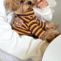 Dolce maglione per cani a righe autunno inverno vestiti caldi per animali domestici - Taglia S / Top / Locke Giallo Orso