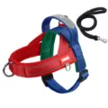 Buntes atmungsaktives Mesh Hundegeschirr mit Leine und Reflektorstreifen für kleine Hunde - S / Geschirr- und Leinen-Set / Rot Blau Grun Farbblock