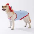 Sommer Hund Kühlweste mit Hut, hellblaues Mesh Haustierkleidung für große Hunde wie Golden Retriever. - Bondi Blau Großer Hundestil (Mit Hut Und Eisbeutel)