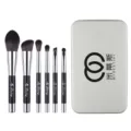 Tragbares 6-teiliges Make-up-Pinsel-Set mit Magnetbasis und weichen Borsten für den Alltag. - 6-teiliges Magnet-Pinsel-Set (Silber-Basis) + silberne Box