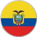 Ciondolo bandiera Ecuador per borsa da spiaggia EVA, bottone decorativo rotondo per borse. - Bottoni da 1,5 cm / Bandiera dell'Ecuador