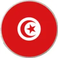 Ciondolo Bandiera Tunisia Accessorio per Borsa da Spiaggia EVA e Decorazione Scarpe - Bottoni da 1,5 cm / Bandiera della Tunisia