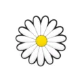 Joli charm marguerite blanche en PVC pour chaussures et accessoires de sacs de plage DIY. - Style 1104-01
