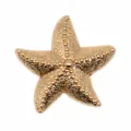 Metal starfish shoe charm DIY accessories for garden shoes decorative buckle sparkling. - Starfish Pearl Accents