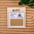 Süße Kapibara Haftnotizen Memo Notizblock selbstklebend Cartoon Schreibwaren für Schüler - Capybara Ente