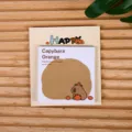 Süße Cartoon Wasserschwein Haftnotizen Orangen Thema klebende Notizblöcke für Schüler. - Capybara Orange