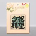 Creatieve Guochao acryl koelkastmagneet met Chinees kalligrafie-ontwerp voor thuis. - Lage Verwachtingen