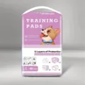 Tapis d'entraînement pour animaux, couches jetables absorbantes, taille L 40 pcs - Taille L 60x60cm (40 Pièces/Paquet)