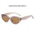Bruine ovale zonnebril voor dames en heren, trendy transparant montuur en stijlvolle brillen. - YD2360 Bruin montuur bruine glazen (PC montuur AC glazen)