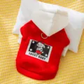 Red and white pet hoodie with hood for small dogs and cats, warm winter apparel variant. - XS / Red Hooded (Leash Compatible)