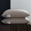 Grey satin down pillow variant, 100% cotton vertical three-layer luxury hotel bedding. - Low Pillow (48x74cm) / Gray