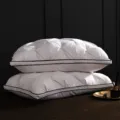 Detailed view of luxury white goose down pillow, quilted pleated design with dark piping. - Low Pillow Single Pack/48x74cm / White