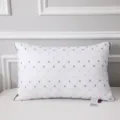 White Quilted Hotel Pillow Core With Diamond Grid Pattern And Neck Support Variant - Embroidered Square Cotton Pillow (1 Piece) / 650g Low Pillow / White