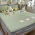 Tapis de refroidissement PE classe A drap lit soie glace belle broderie fruit ete - Naidong Miao Chuangshang - Vert fruit - Drap-housse