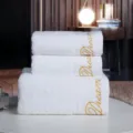 White cotton embroidered bath towel set hotel absorbent thick towel homestay daily use - Hotel Towel 35*75cm / Dream