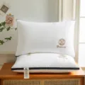 Hotel quality white bed pillows set of 2, firm and supportive sleeping pillows for home use. - 900g High Pillow - 1 Pack / High-End Blue Edge