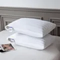 Witte gestreepte hotel kussenset voor slaapkamerthuisgebruik, zachte en comfortabele vulling - 1 Stuk / Katoenen & boekweit hotelkussen vulling voor tweeledig gebruik - 3D-model