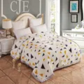 Winter warm Raschel fleece blanket detail, stylish geometric triangle print design for home bed. - Geometric Love