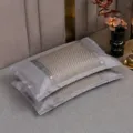 Cuscino rinfrescante in seta di ghiaccio grigia variante estiva traspirante in bambù per dormire - Cuscino di grano saraceno e rattan di ghiaccio in PU ad angoli retti - Argento