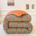 Thickened floral minky dot winter duvet cozy double-sided warm bedding quilt for cold nights. - 150x200cm 3.9kg / Minky Fleece Winter Quilt - Aiwei