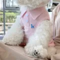 Frühling Sommer dünne Mesh Hund Sonnenschutz Kleidung rosa Polo Kragen Weste Haustier Bekleidung - XS (Empfohlenes Gewicht 1-3 lbs) / Rosa