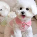 Hübsche rosa Hundeweste mit Kragen, atmungsaktive Sommerkleidung für kleine Hunde und Welpen. - L (Empfohlenes Gewicht 8-11 lbs) / Auli-Rosa