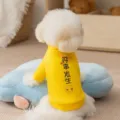 Hond Vacht Trui Geel Huisdier Kleding Lijn Ring Winter Warm Hondenjas Kleine Hond Mode - "Goede dingen gebeuren" hoodie