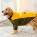 Warm fleece dog winter clothes for large golden retrievers, yellow and green color block. - 3XL (Suggested Weight 10-15kg) / Yellow and Green