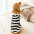 Dog fleece shirt black white stripe large dogs cozy winter pet apparel golden retriever - 3XL / Black Stripe