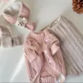 Ins-style cute pet dog winter warm vest cardigan and scarf set for small dogs and cats apparel - Pink Vest (Free Little Fish Scarf)
