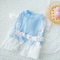 Bonito vestido azul para mascotas con lazo de encaje blanco, estilo JK para perros pequeños y gatos. - XL / Azul Encaje