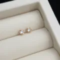 Detailansicht minimalistischer Roségold Zirkon Ohrstecker, kompaktes Blumendesign für den Alltag. - Kleiner Runder Zirkonia Stil / Gold