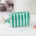 Green and white striped clear PVC makeup bag cosmetic travel toiletry pouch with zipper - Green and White Striped