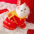 Maglione natalizio rosso in maglia per animali con sciarpa gialla e testo festivo cani - Tema fortuna [sciarpa in omaggio]