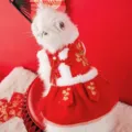 Festive red pet princess dress for small dogs and cats, winter warm pet apparel with cute fur. - S (Recommended weight 1.5-2.5kg) / Fenghua Zhengmao Tang Suit Pet Dress