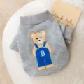 Niedlicher Winter Haustier Hund Katze Hoodie Pullover mit Bären Stickerei für kleine Hunde. - S / Grau