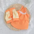 Bonito vestido naranja para mascotas con mangas florales y encaje para perros pequeños y gatos. - S / Naranja Juego de Dos Piezas