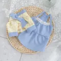 Bonito conjunto de vestido floral azul para mascotas, estilo princesa verano. - S / Juego de 2 piezas azul