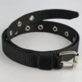 Ceinture en toile de nylon noire avec œillets métalliques et boucle ardillon pour femme. - Longueur 110cm largeur 2,4cm / Noir