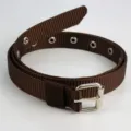 Ceinture en toile de nylon marron pour femmes avec œillets métalliques et boucle ardillon. - Longueur 110cm largeur 2,4cm / Marron