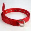 Ceinture en toile de nylon rouge pour femme, avec œillets métalliques et boucle ardillon. - Longueur 110cm largeur 2,4cm / Rouge