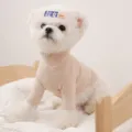Maglione dolcevita beige per cani, felpa morbida cucciolo, vestiti animali taglia piccola - Beige Tinta Unita