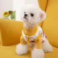 Cute pet dog clothes winter warm knitwear yellow bear pattern two-leg sweater for cats dogs - Solid Yellow (Vest Not Included, Vest for Reference Only)