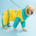 Manteau de pluie imperméable pour chien avec quatre pattes et capuche transparente grande taille. - 8XL / Cousu Jaune & Vert