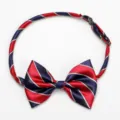 Kids Red Blue Striped Bow Tie for School Uniform Adjustable Elastic Neckband Accessory - Small Bow Tie with Red and Blue Stripes