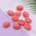Roze hars snijden schildpad losse kralen, recht gat DIY sieraden maken accessoires. - Schildpadschild Stijl (034) / 5 Stuks/Verpakking (11x13mm)