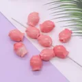 Roze vis hars kraaltjes voor DIY sieraden maken, schattige gesneden dierlijke kralen set. - Graskarper Stijl (038) / 5 Stuks/Verpakking (11x14mm)
