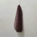 Spugna da bagno esfoliante lunga per schiena con corda da appendere, scrubber da sauna marrone scuro. - 30x75 / Modello a rete marrone (senza confezione)